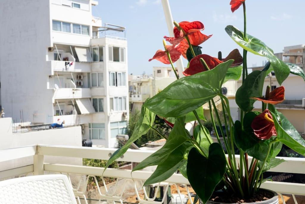 Steps From The Beach Aprt 하니아 외부 사진